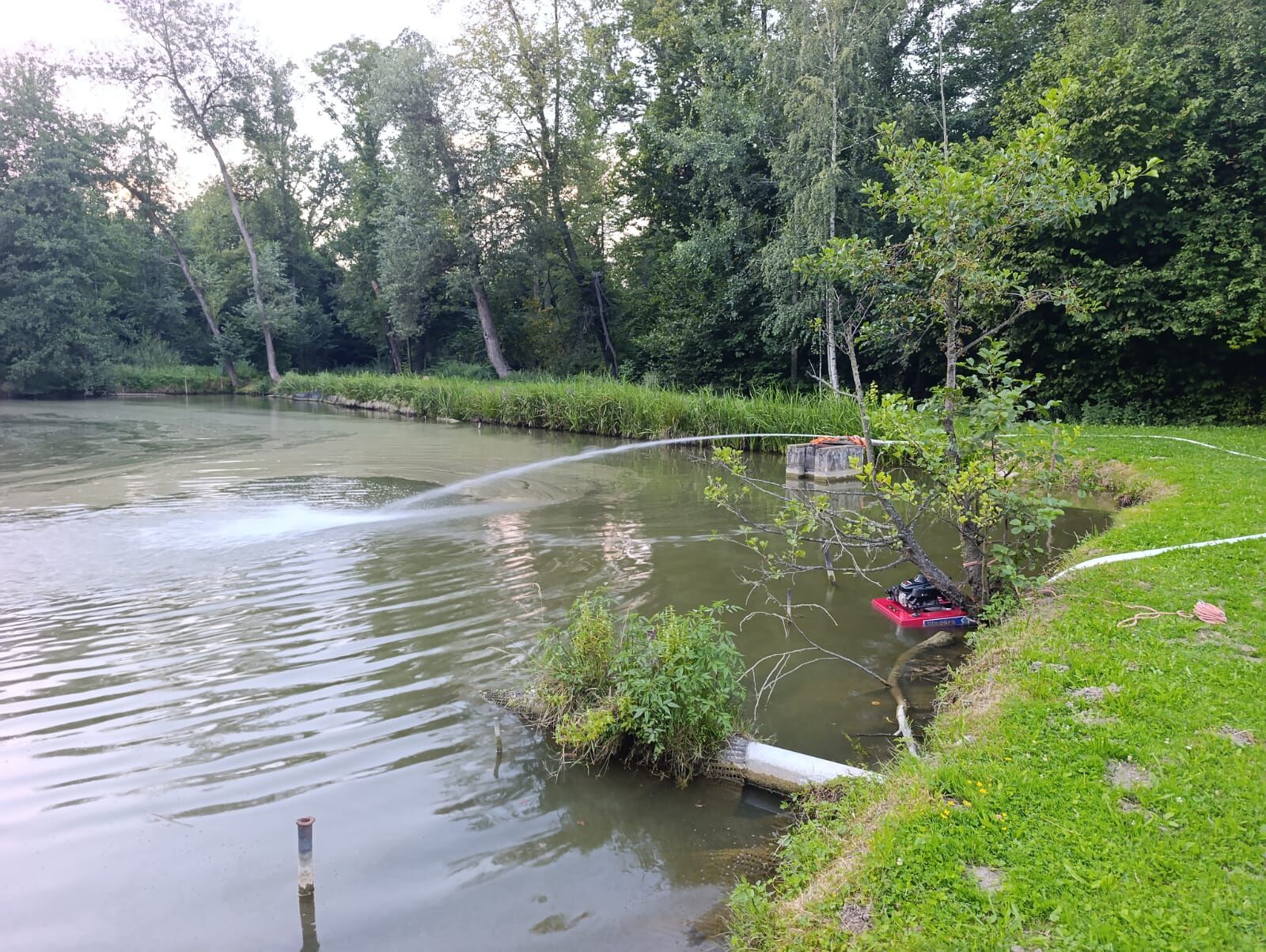 IMG-20260731-WA0004.jpg